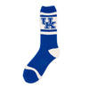 Kentucky Wildcats